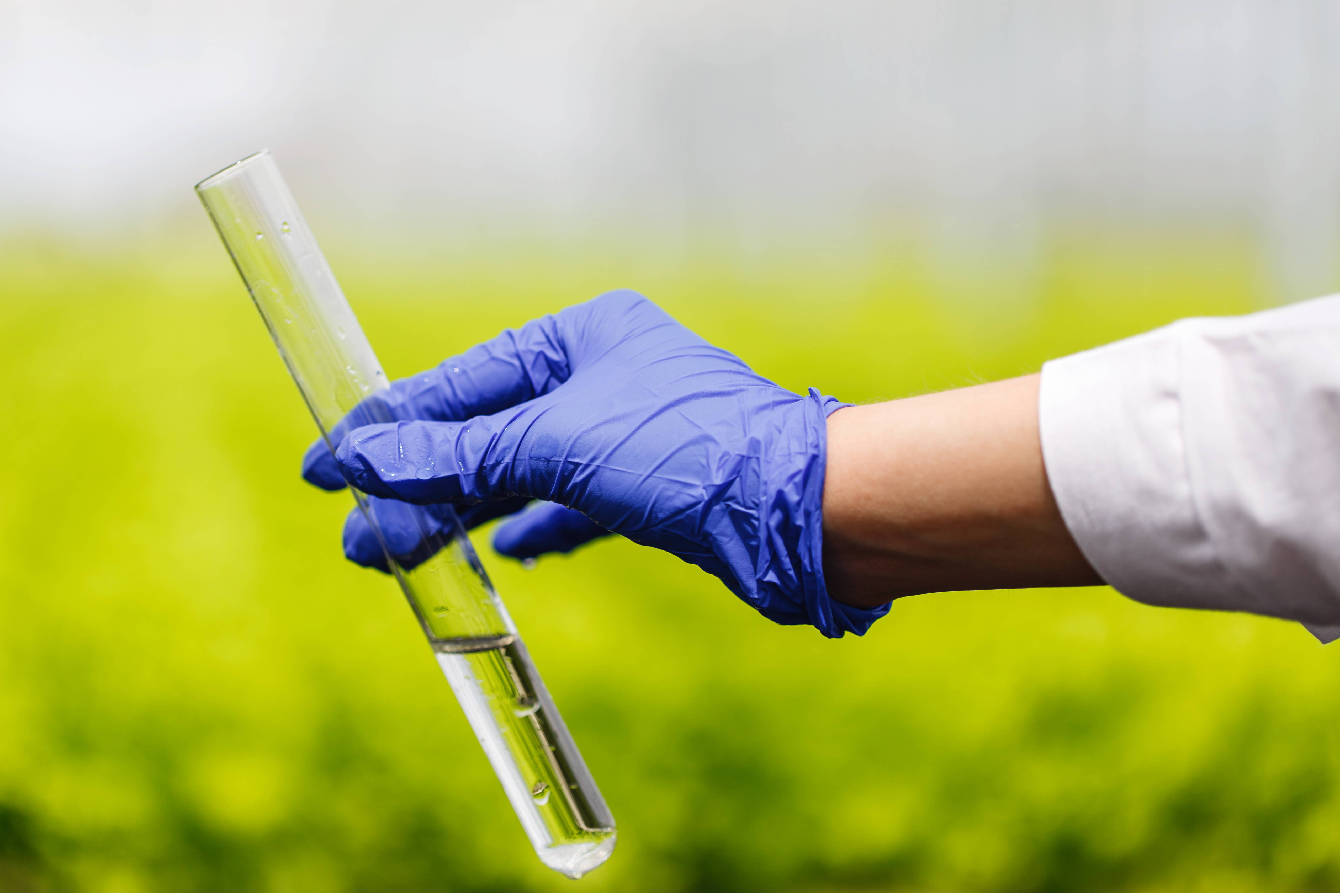 Industrial chemicals and agricultural fertilizers bulk supply — Bullfrog Trading LLC