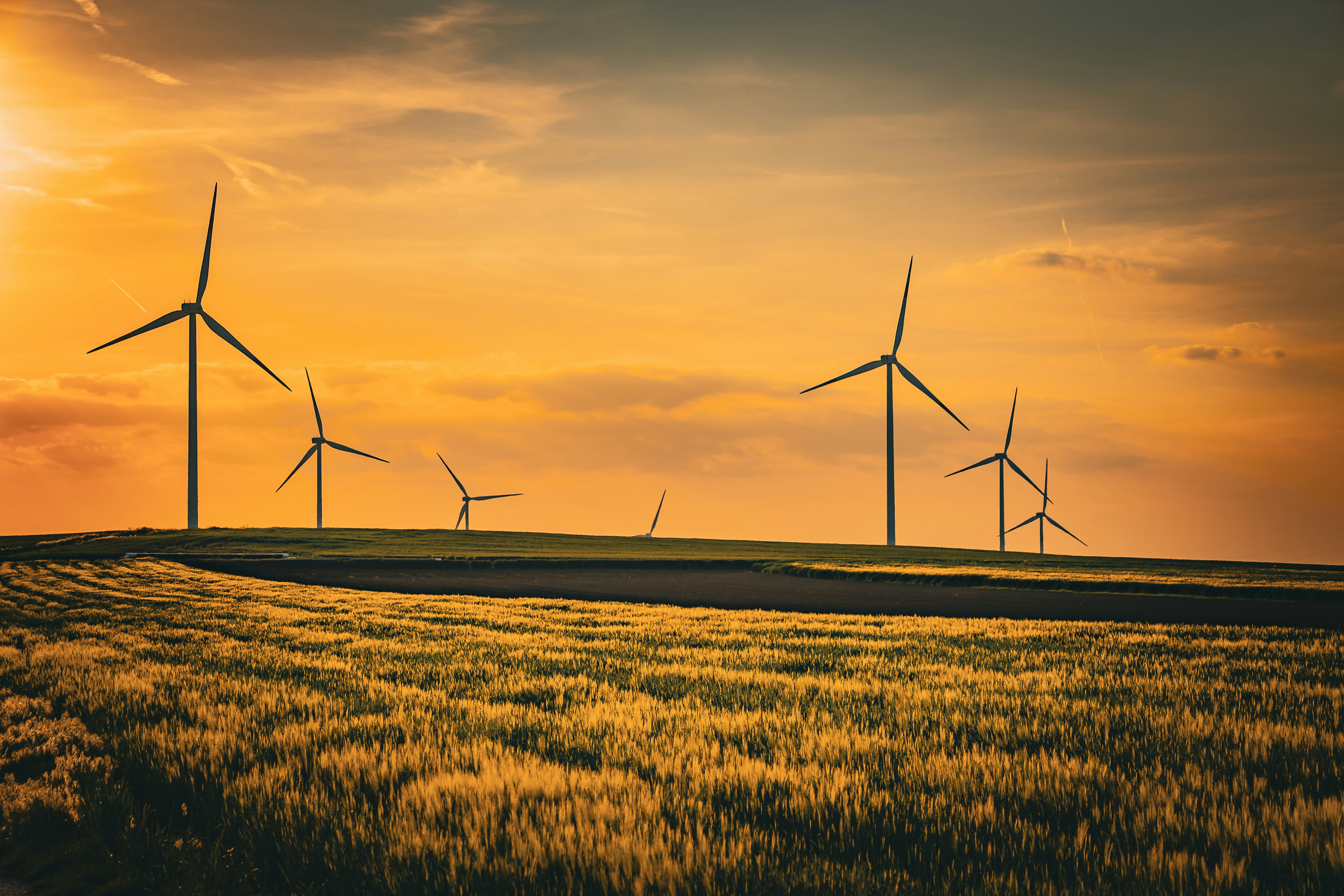 Sustainable commodity sourcing — ethical and environmentally responsible supply chains